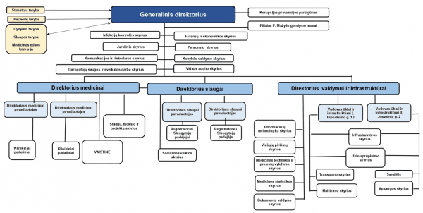 Ligoninės Padalinių Struktūra - LSMU Kauno Ligoninė