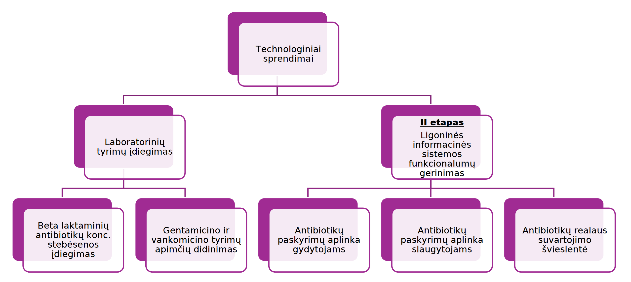 Planuojamų iniciatyvų diagrama